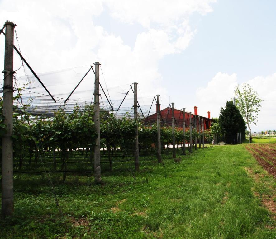 Borgo D'Asolo Villa San Vito Di Altivole Exteriör bild